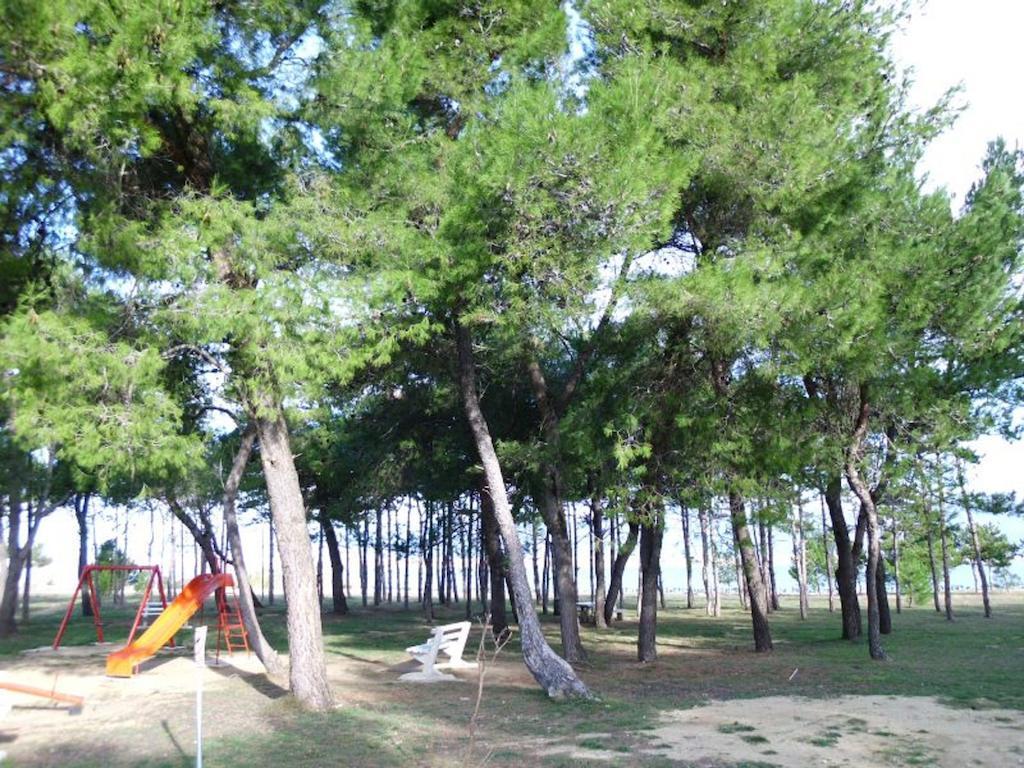 Apartments Dujlovic Privlaka  Esterno foto